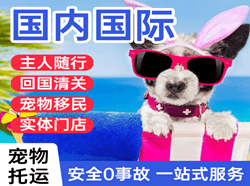 威海大水泊机场快递国际宠物托运 【国